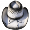 Chapeau de Cowboy Blanc Homme – Image 2